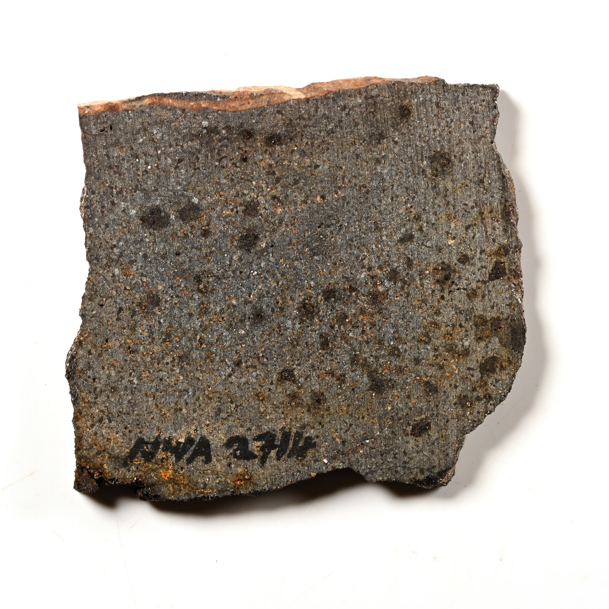 Natural History - Acapulcoite NWA 2714 Meteorite Slice